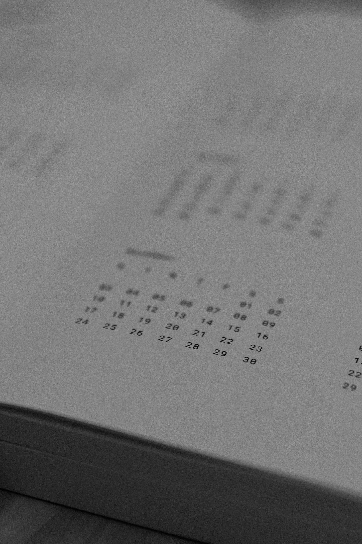 2025 Daily Planner | A5
