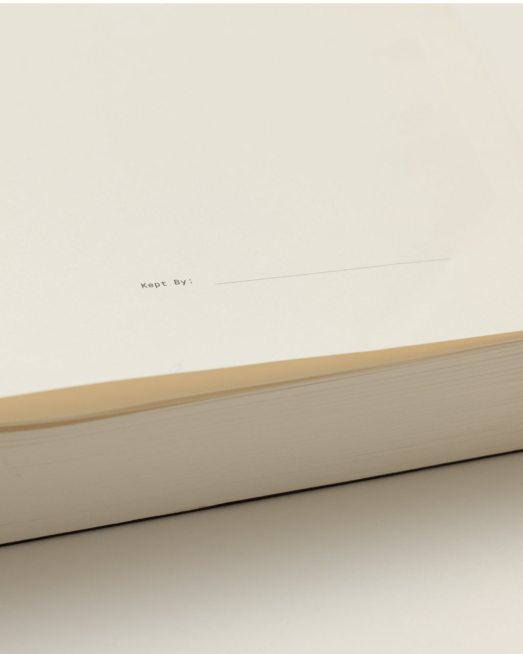 Undated Daily Planner