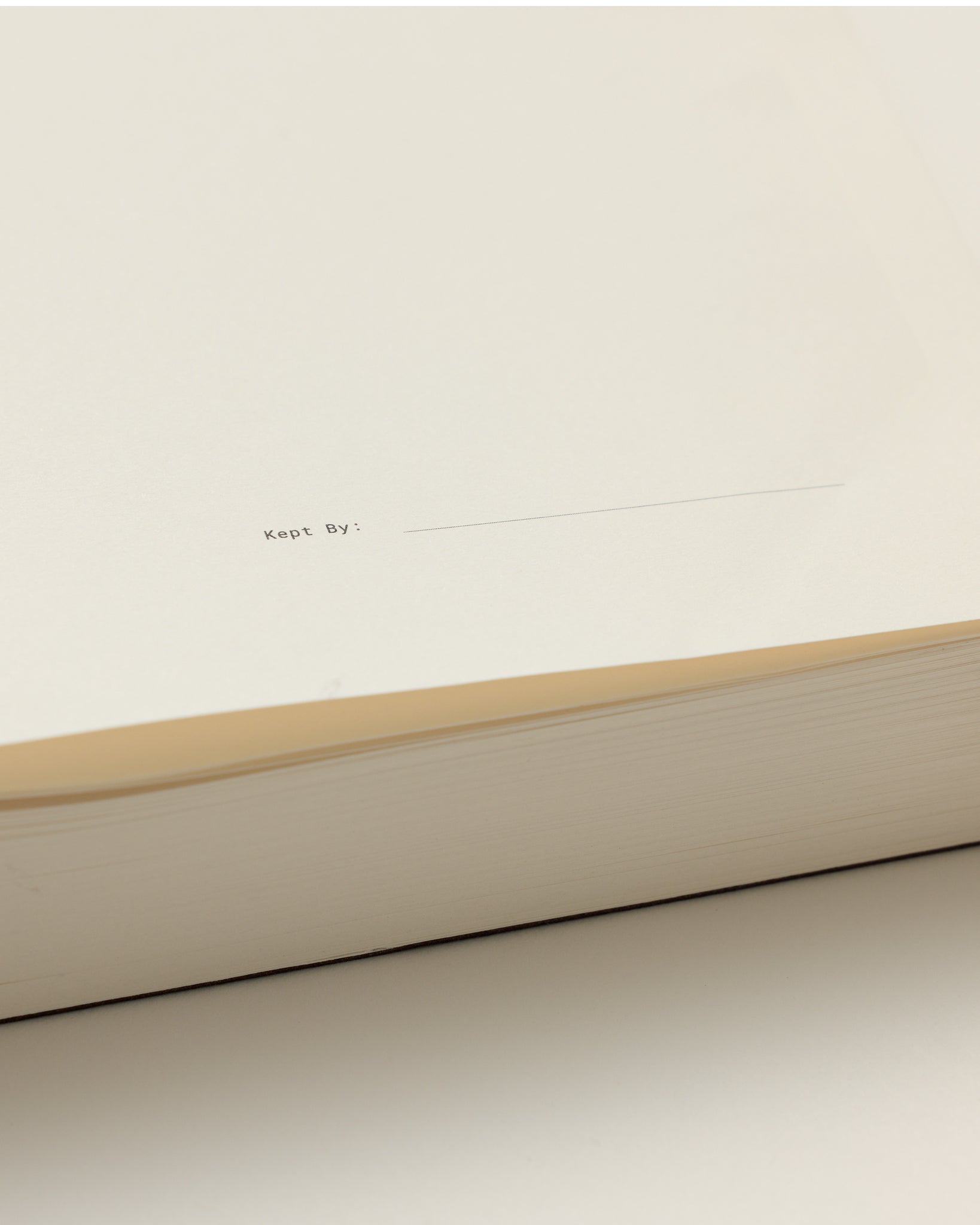 Undated Daily Planner