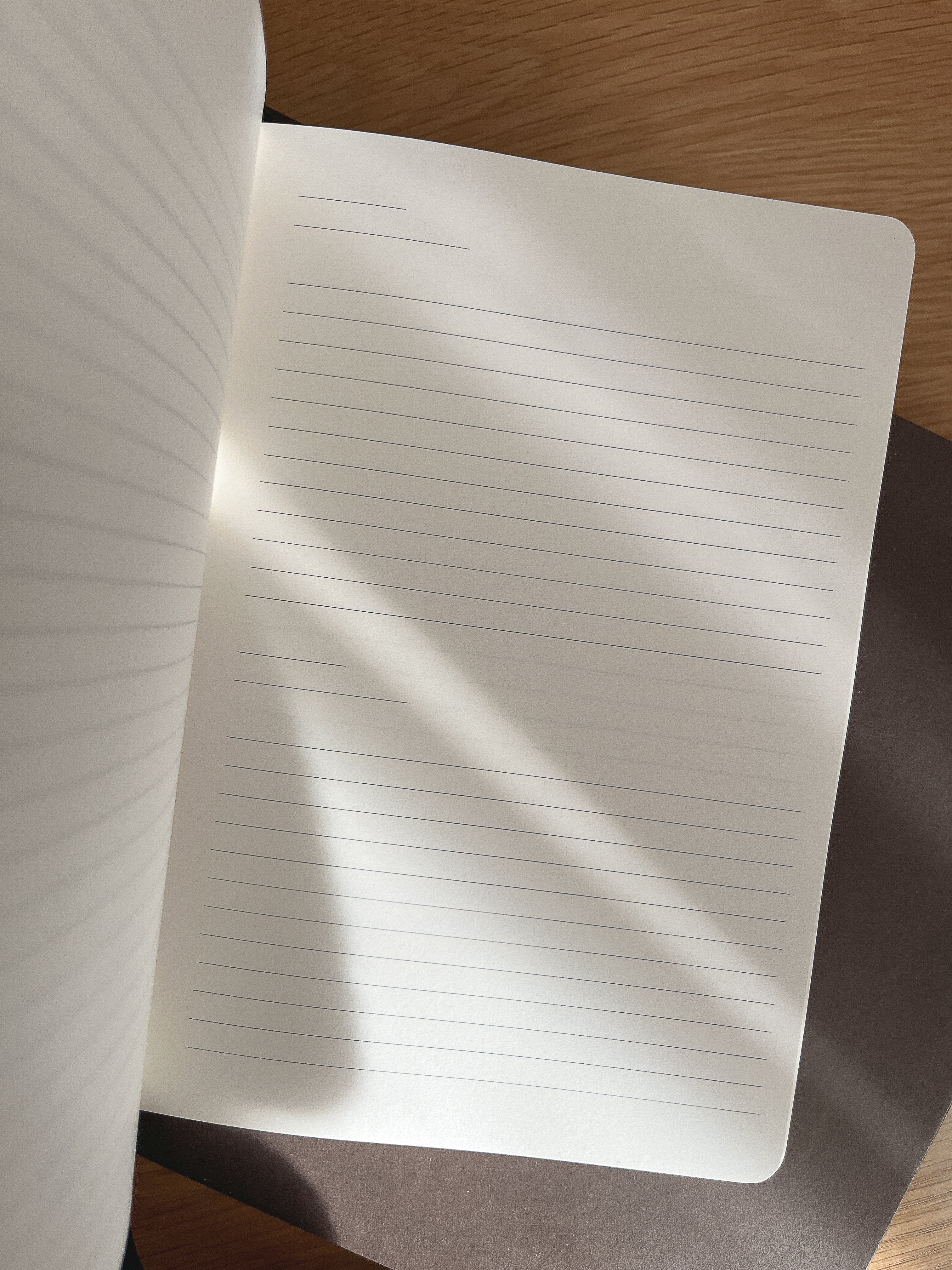 Undated Daily Planner