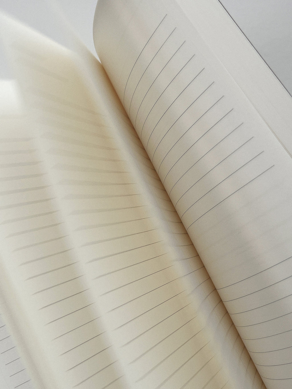 Undated Daily Planner