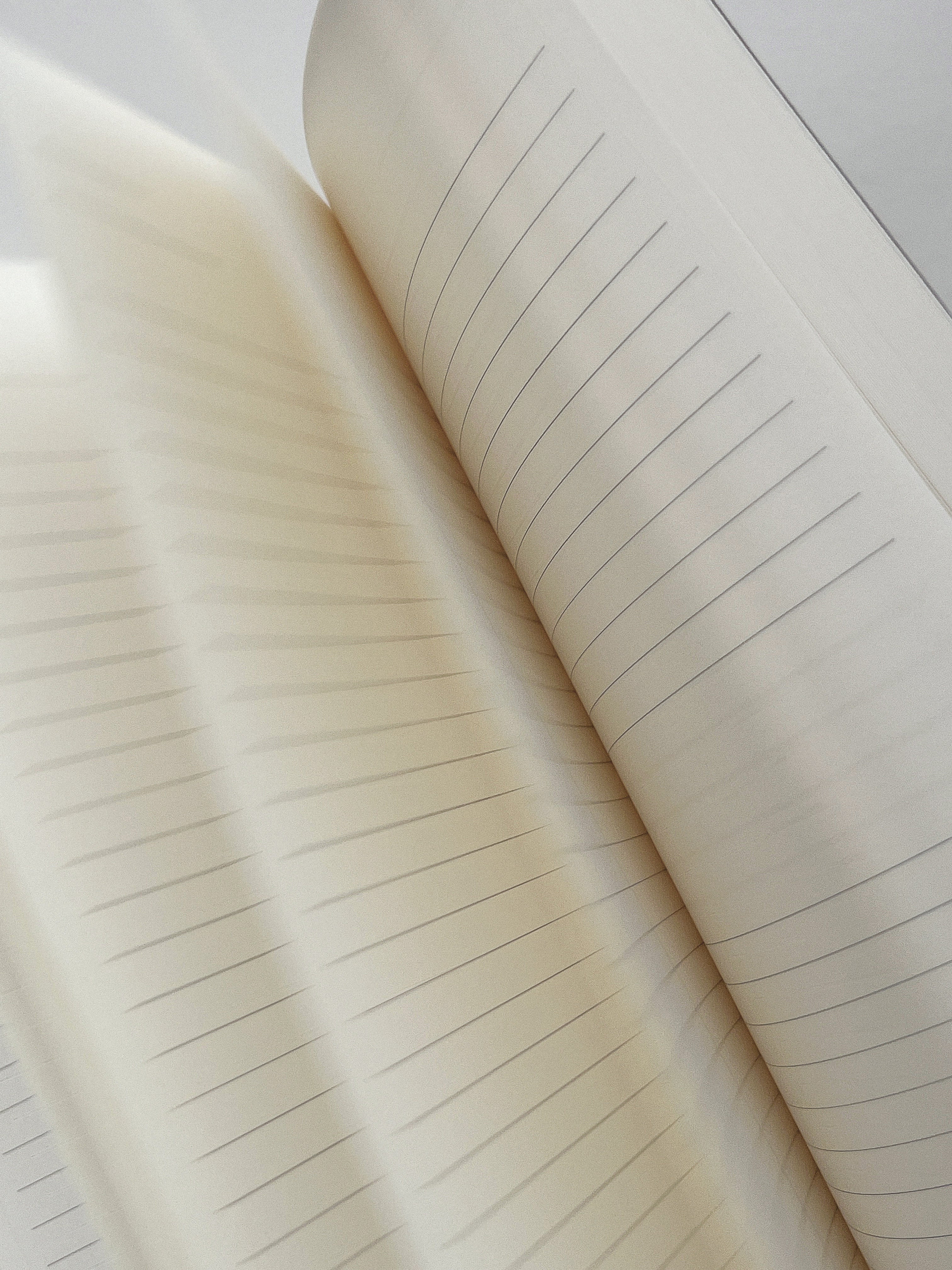 Undated Daily Planner